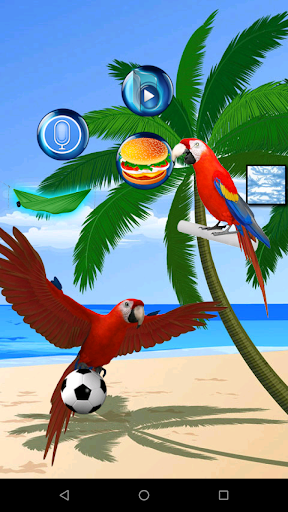 Real Talking Parrot - Image screenshot of android app