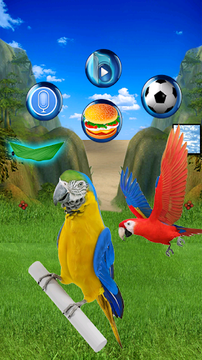 Real Talking Parrot - Image screenshot of android app