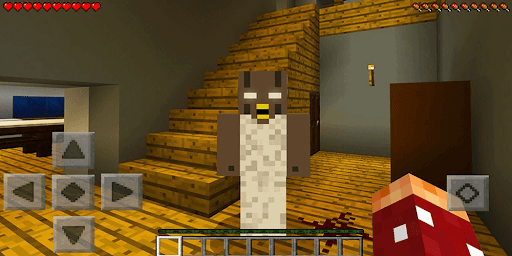 Minecraft top and granny