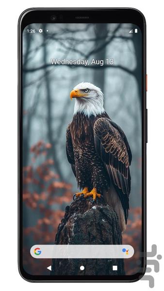 تصویر زمینه پرنده | بدون اینترنت - Image screenshot of android app