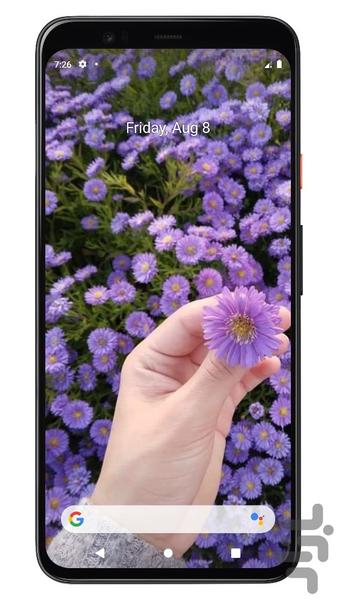 تصویر زمینه بنفش دخترانه | آفلاین - Image screenshot of android app
