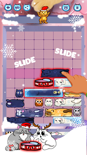 Slide Puzzle: Train Brain by solving cat challenge - Gameplay image of android game