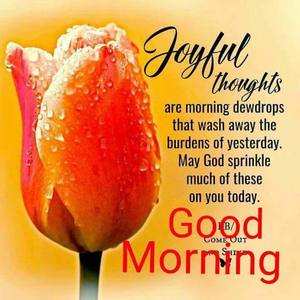Good morning messages and images Gif for Android - Download | Cafe Bazaar Good morning messages and images Gif for Android - Download | Cafe Bazaar