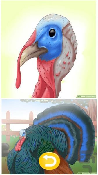 آفرینش (تشخیص جنسیت حیوانات) - عکس برنامه موبایلی اندروید