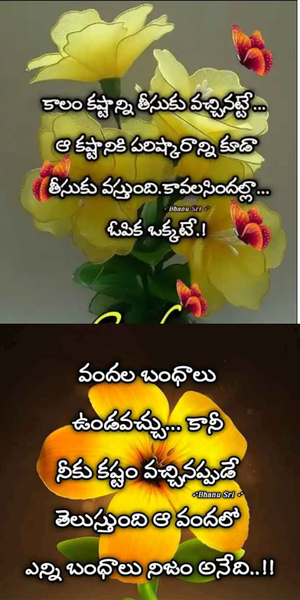 ۵۰۰۰+ Telugu InspirationQuotes - عکس برنامه موبایلی اندروید