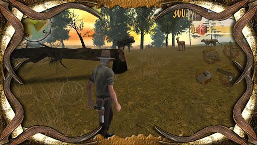 Safari 2 - Gameplay image of android game