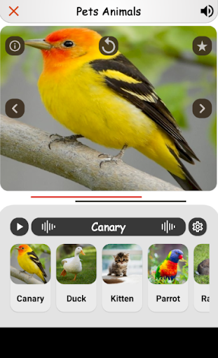 Animal Kingdom: Play & Learn - عکس برنامه موبایلی اندروید