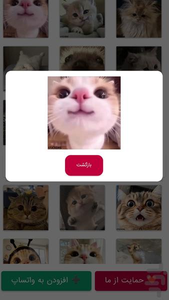 WhatApp Sticker - Image screenshot of android app