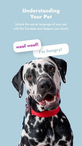 Chat Translator for All - عکس برنامه موبایلی اندروید