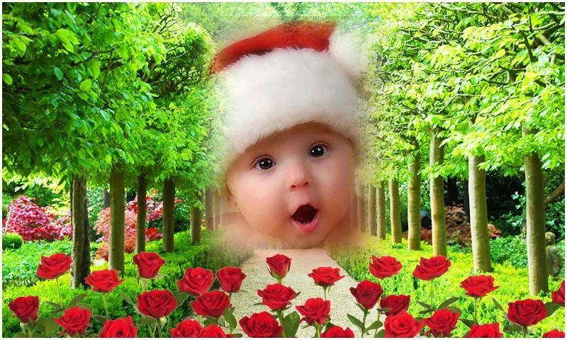 Garden Photo Frames - Image screenshot of android app