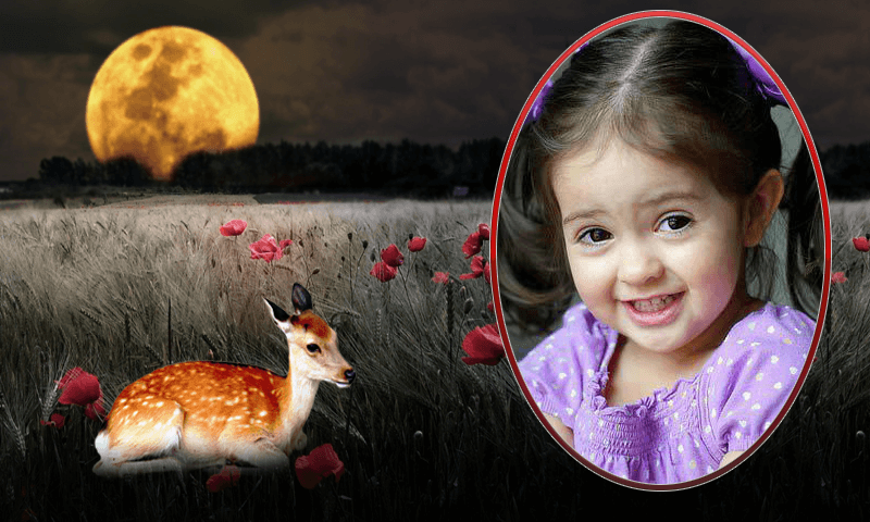 Night Moon Photo Frames - عکس برنامه موبایلی اندروید