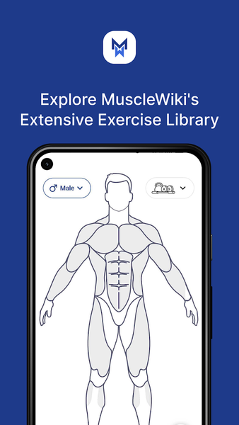 MuscleWiki: Workout & Fitness - عکس برنامه موبایلی اندروید