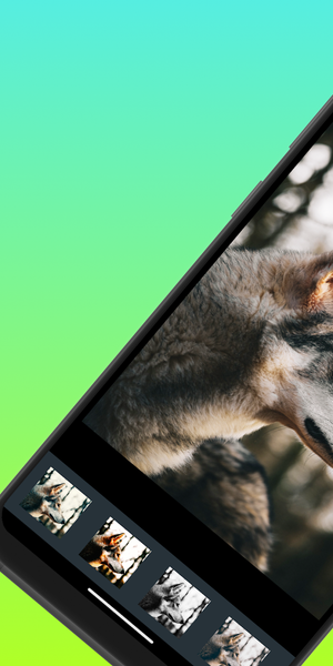 OVF Editor - عکس برنامه موبایلی اندروید