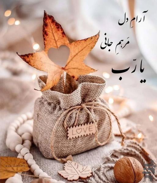 روبیکا دانلودر - عکس برنامه موبایلی اندروید