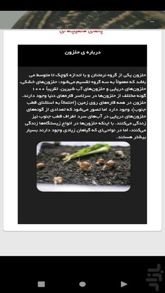 آموزش پرورش حلزون - Image screenshot of android app