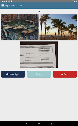 My Aphasia Coach - Image screenshot of android app