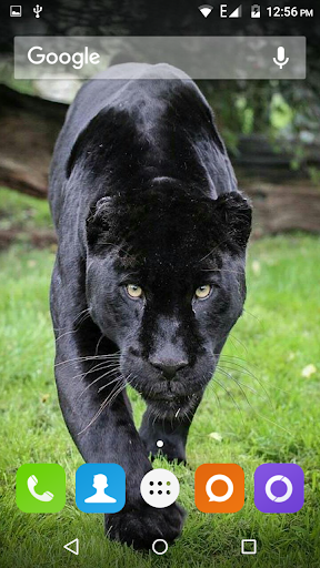Black Panther Hd Wallpaper - عکس برنامه موبایلی اندروید
