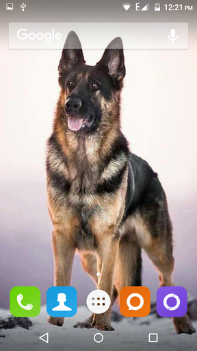 German Shepherd Dog Wallpaper - عکس برنامه موبایلی اندروید