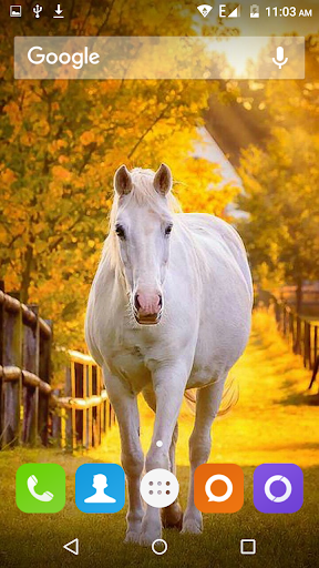 White Horse Hd Wallpapers - عکس برنامه موبایلی اندروید