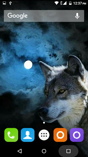 Wolf Hd Wallpaper - Image screenshot of android app