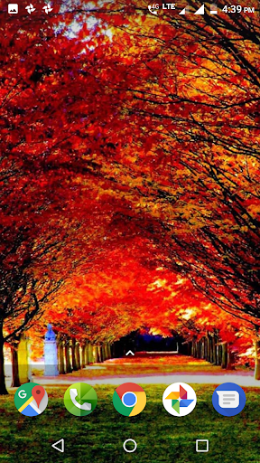 Autumn Wallpaper HD - عکس برنامه موبایلی اندروید