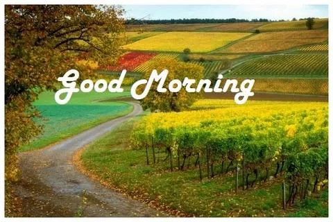 Good Morning Images - عکس برنامه موبایلی اندروید