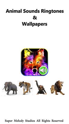 Animal Sounds Ringtones - عکس برنامه موبایلی اندروید