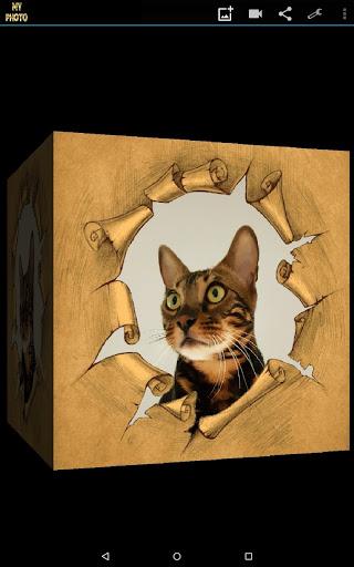 My Photo in ۳D Live Wallpaper - عکس برنامه موبایلی اندروید