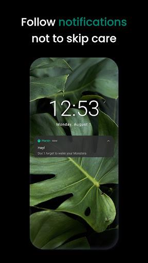 PlantIn Plant Identifier, Care - عکس برنامه موبایلی اندروید