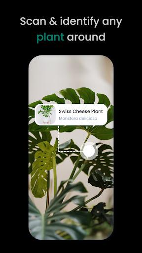 PlantIn: Plant Identification - Image screenshot of android app