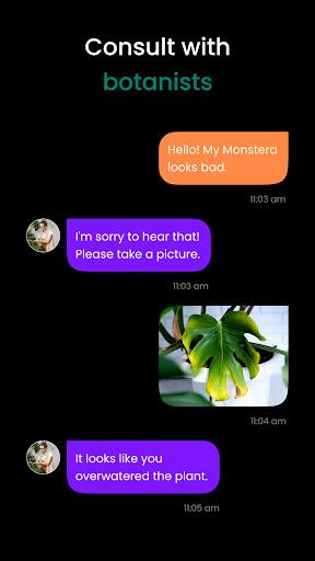 PlantIn Plant Identifier, Care - عکس برنامه موبایلی اندروید