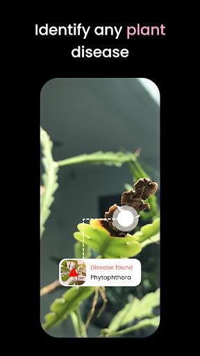PlantIn Plant Identifier, Care - عکس برنامه موبایلی اندروید