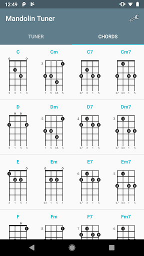 Mandolin Tuner - عکس برنامه موبایلی اندروید