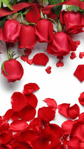 Rose Wallpaper Rosely for Android  Download  Cafe Bazaar
