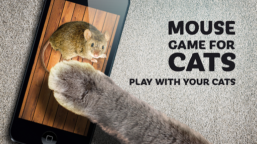 Cat And Mouse - Online Game - Play for Free