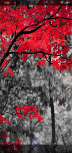 کلیپ ساز فوق حرفه ای - Image screenshot of android app