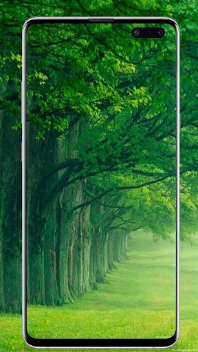 Nature Wallpaper - Image screenshot of android app