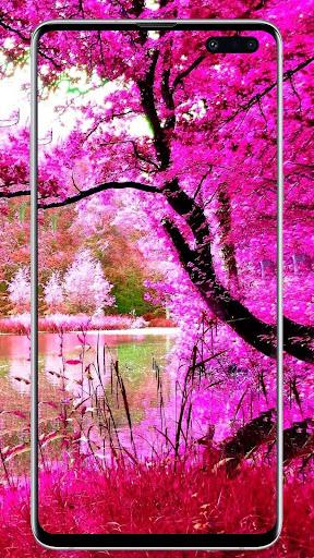 Nature Wallpaper - Image screenshot of android app