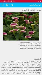 گل و گیاهان اپارتمانی پرورش نگهداری - عکس برنامه موبایلی اندروید
