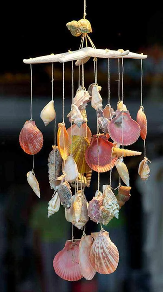 DIY Seashell Craft Ideas - عکس برنامه موبایلی اندروید