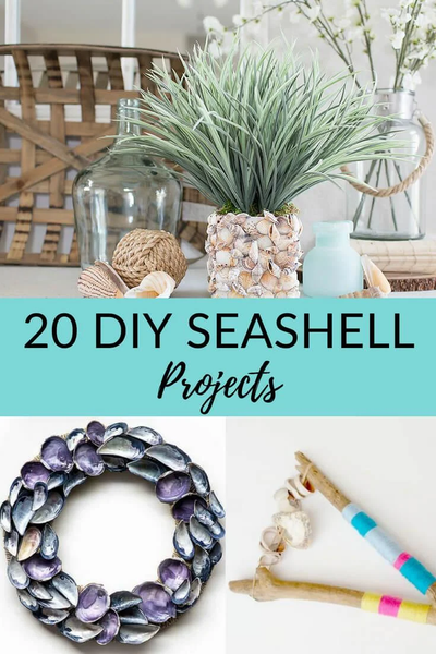 DIY Seashell Craft Ideas - عکس برنامه موبایلی اندروید