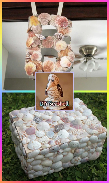 DIY Seashell Craft Ideas - عکس برنامه موبایلی اندروید