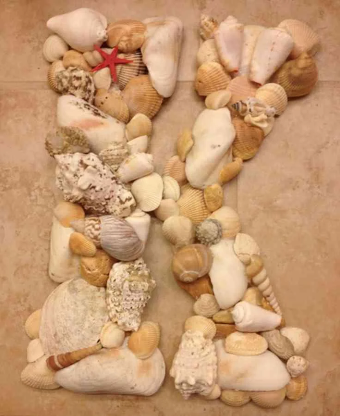 DIY Seashell Craft Ideas - عکس برنامه موبایلی اندروید