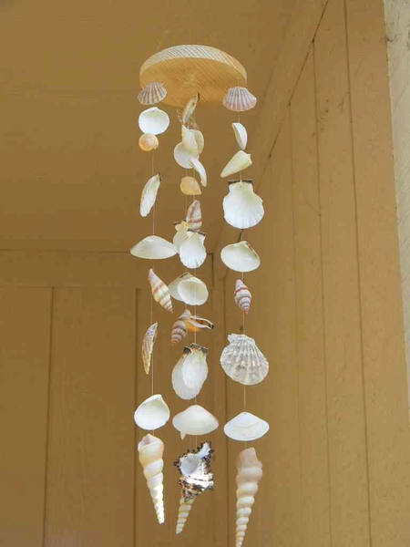 DIY Seashell Craft Ideas - Image screenshot of android app