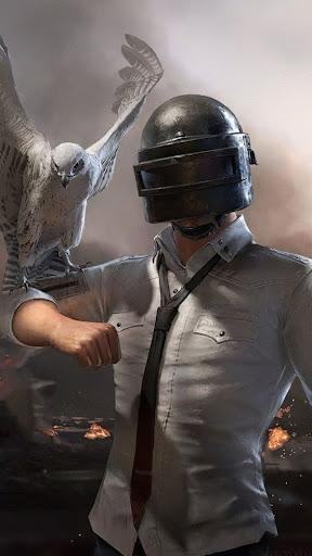 PUBG's ۴K Wallpapers - عکس برنامه موبایلی اندروید