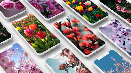 Spring Wallpapers - Image screenshot of android app
