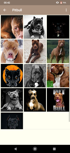 Pitbull Papel de Parede - Image screenshot of android app