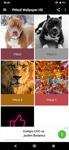 Pitbull Papel de Parede - Image screenshot of android app