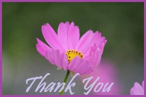 Thank You Greets - Image screenshot of android app