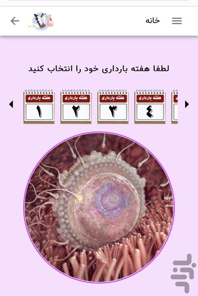 بارداری نیومام - عکس برنامه موبایلی اندروید